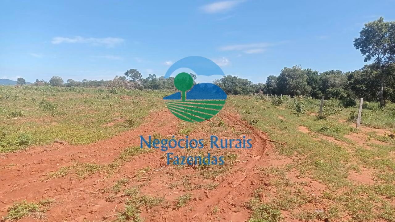 Fazenda de 561 ha em Porangatu, GO