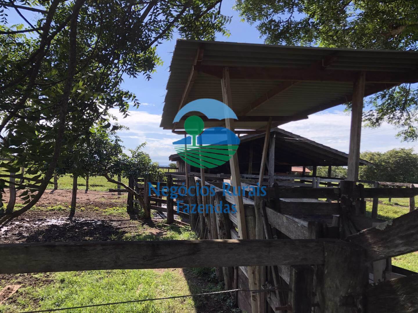 Fazenda de 561 ha em Porangatu, GO