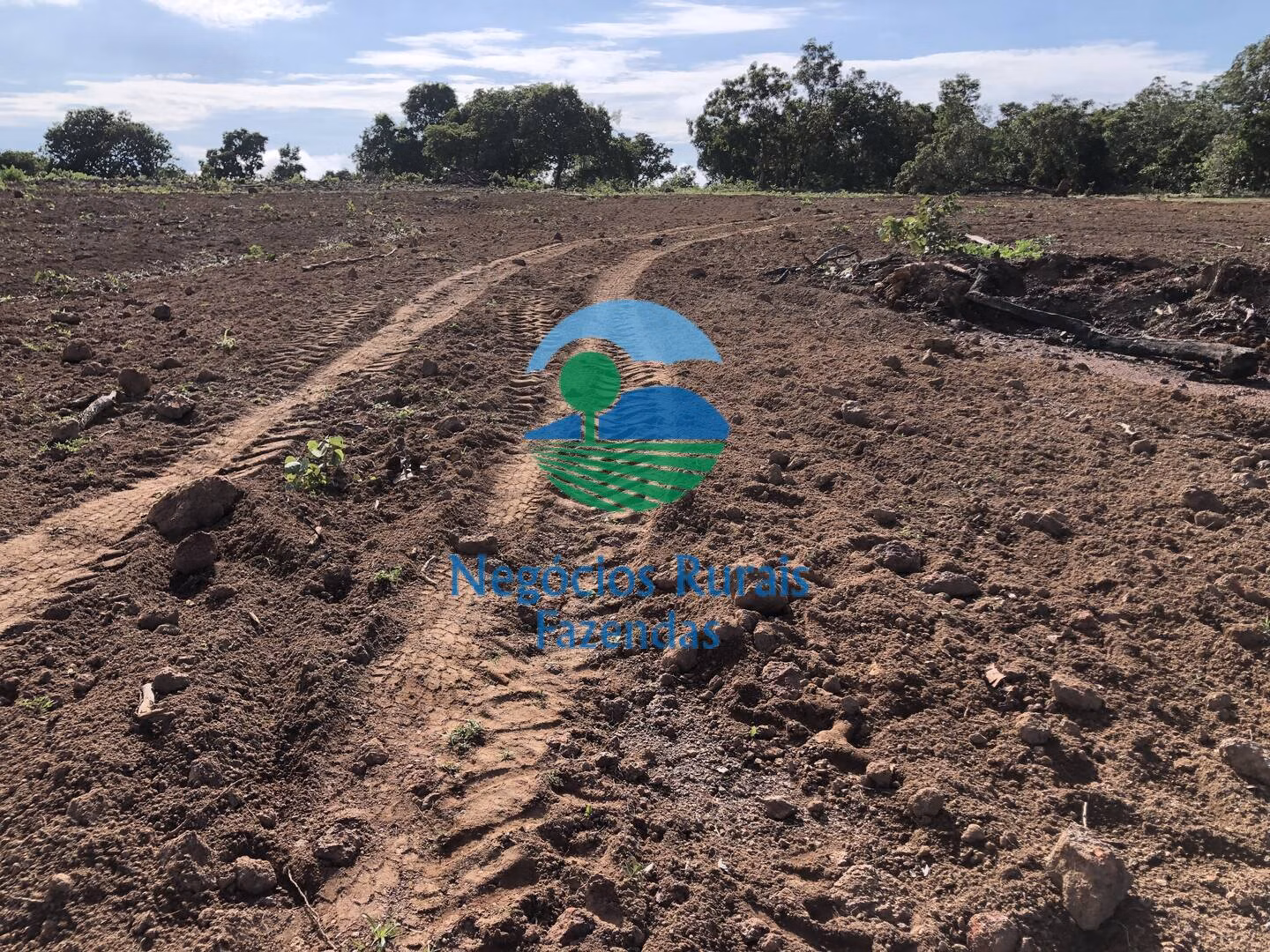 Fazenda de 561 ha em Porangatu, GO