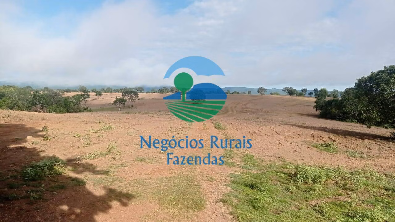 Fazenda de 561 ha em Porangatu, GO