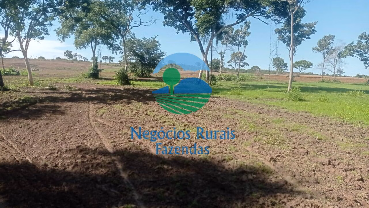 Fazenda de 561 ha em Porangatu, GO