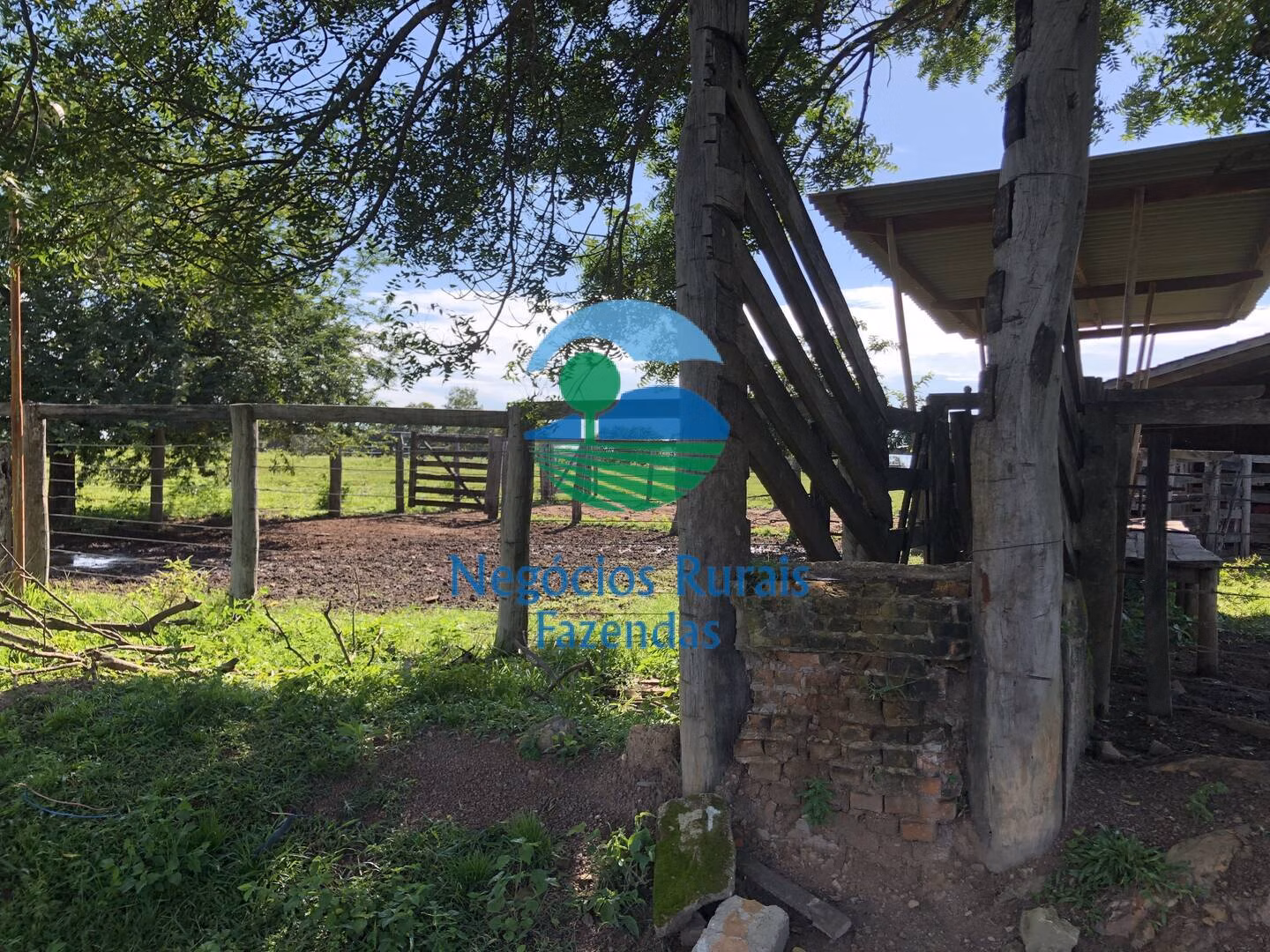 Fazenda de 561 ha em Porangatu, GO