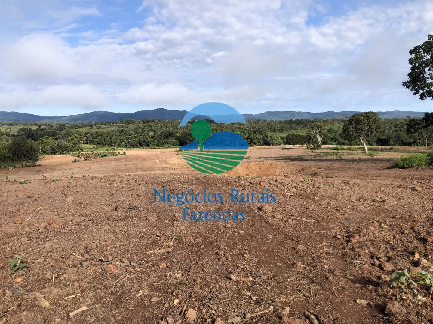 Fazenda de 561 ha em Porangatu, GO