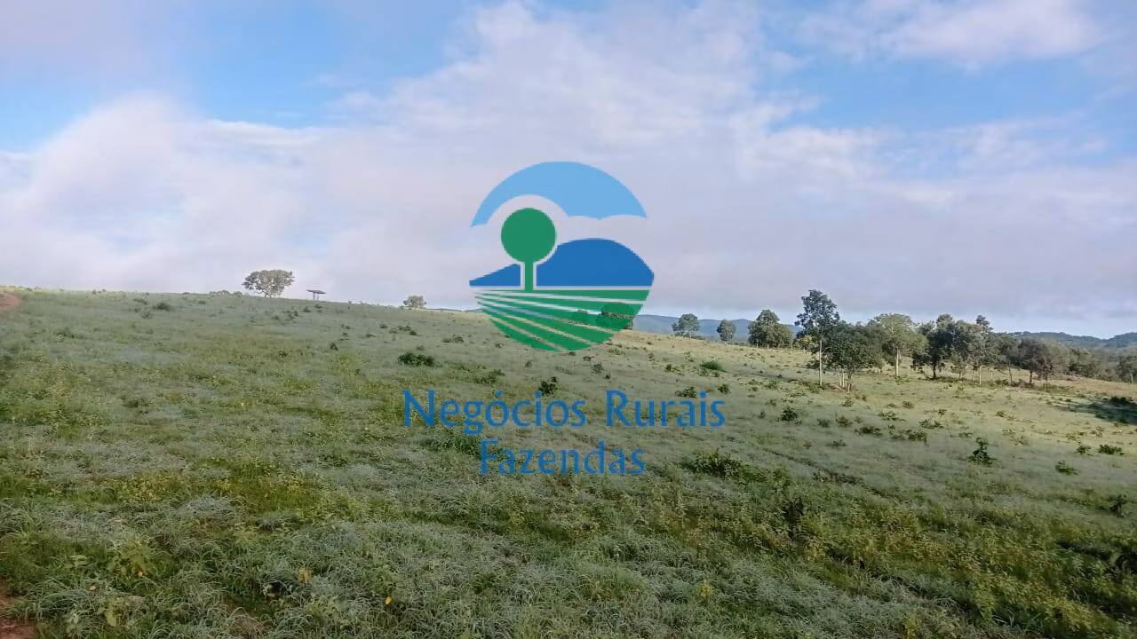 Fazenda de 561 ha em Porangatu, GO