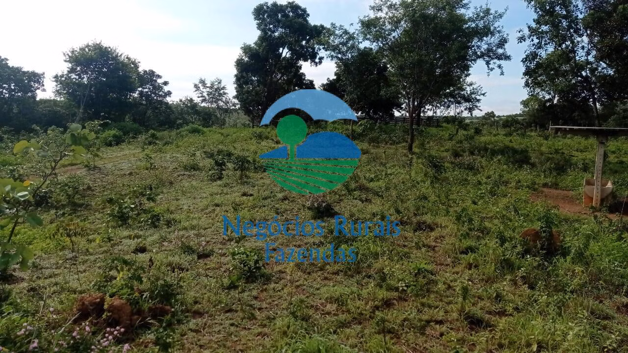 Fazenda de 561 ha em Porangatu, GO