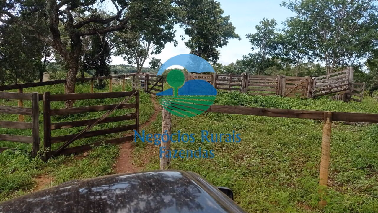 Fazenda de 561 ha em Porangatu, GO