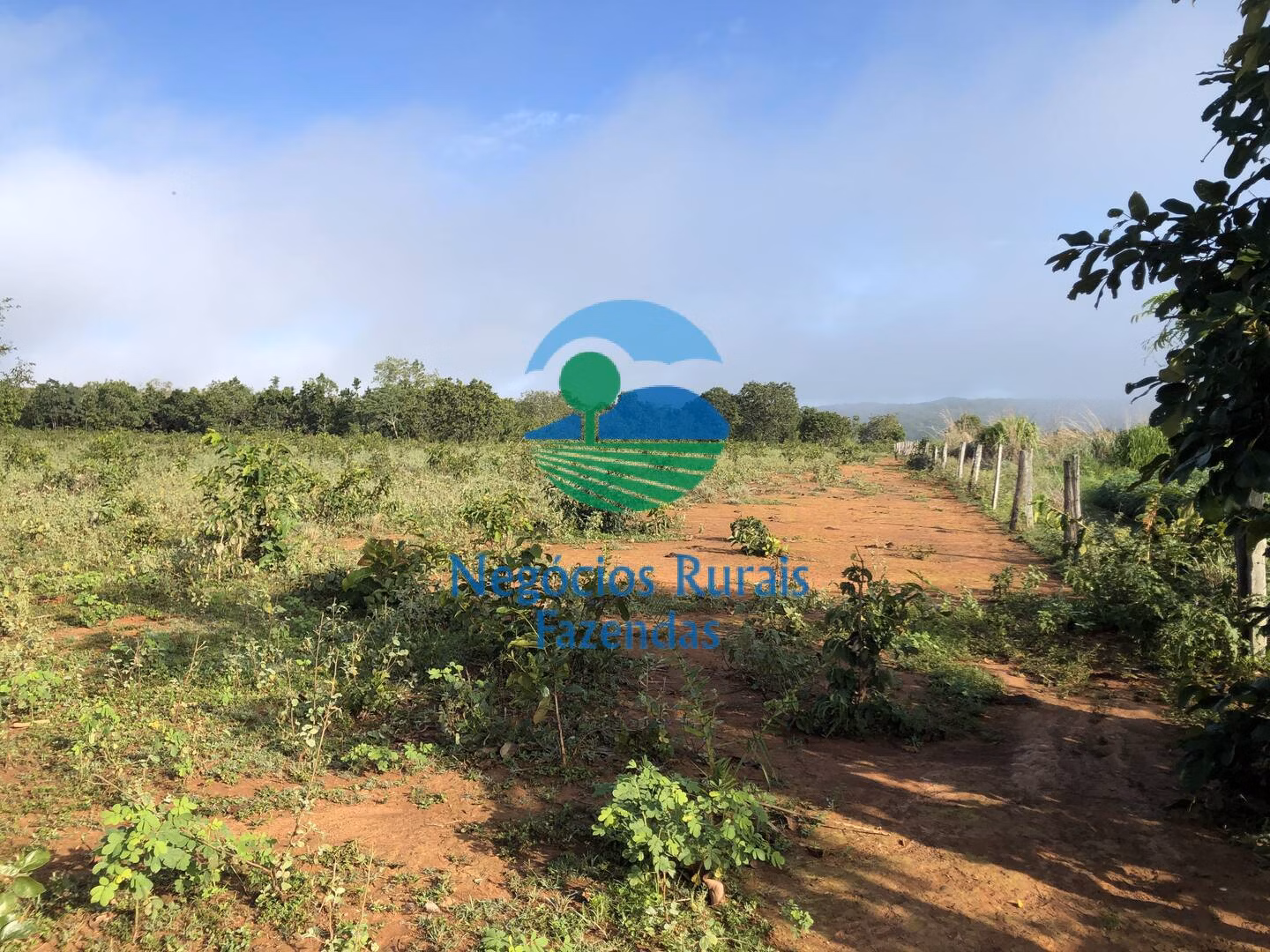 Fazenda de 561 ha em Porangatu, GO