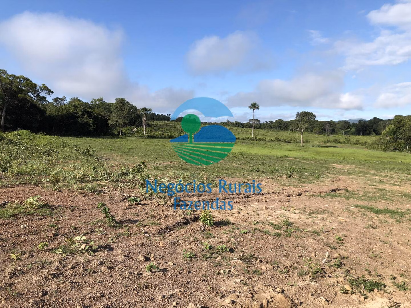 Fazenda de 561 ha em Porangatu, GO