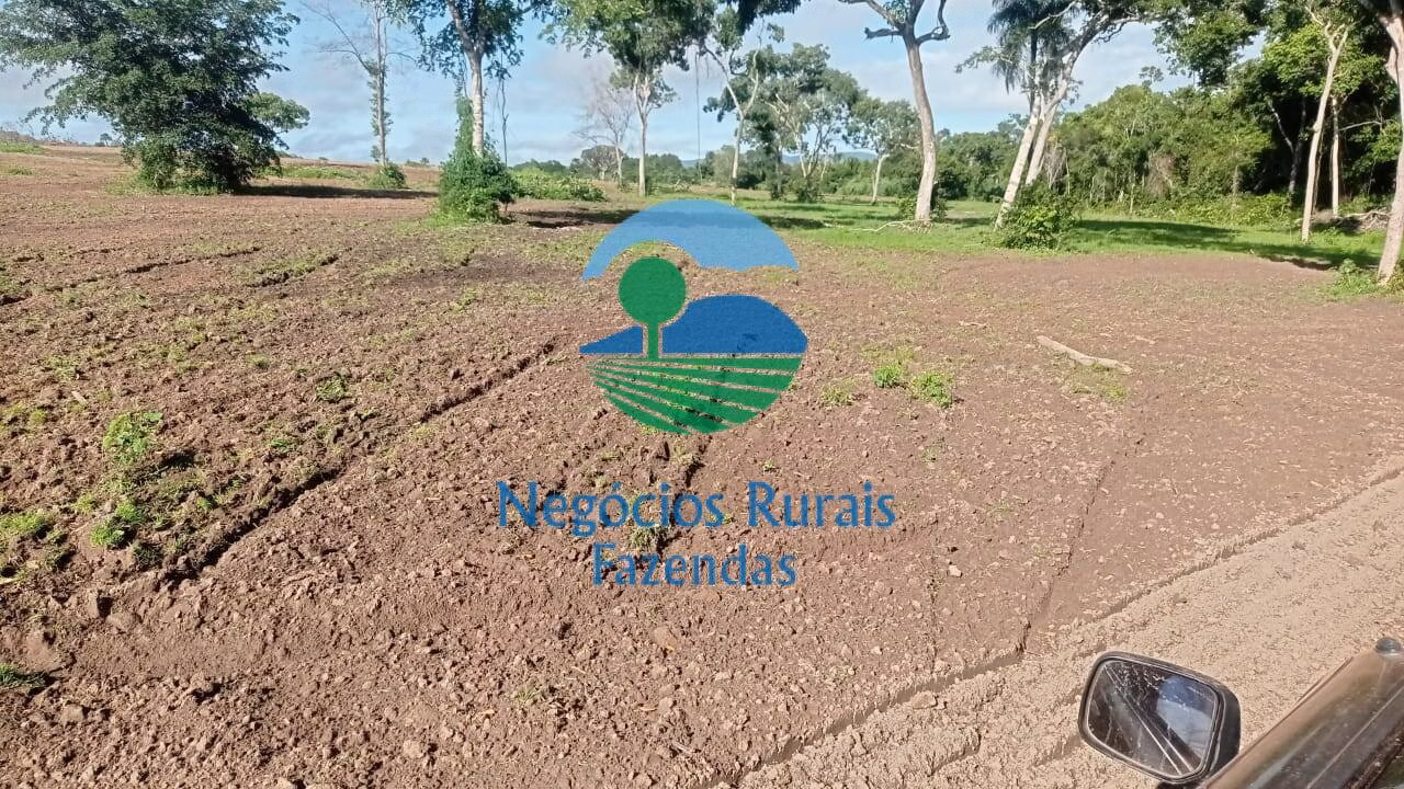 Fazenda de 561 ha em Porangatu, GO