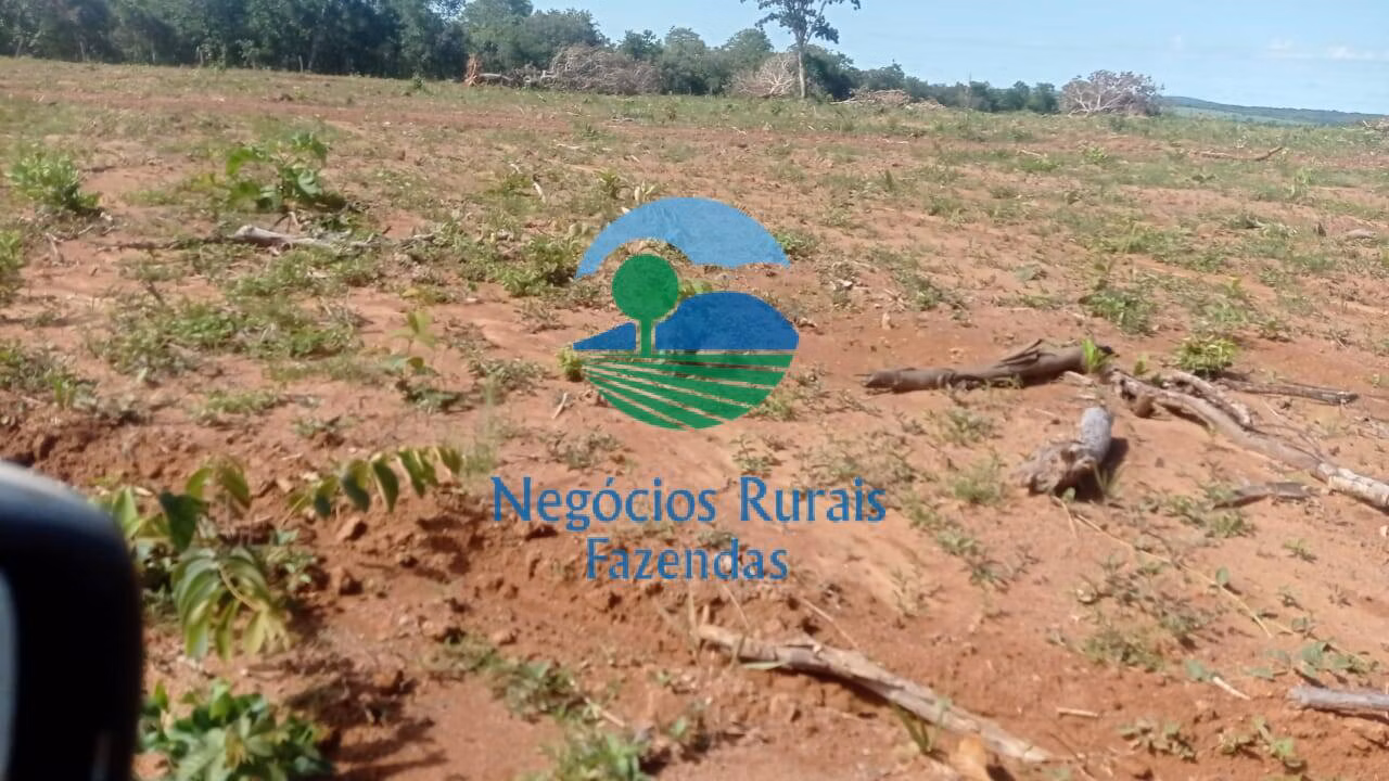Fazenda de 561 ha em Porangatu, GO