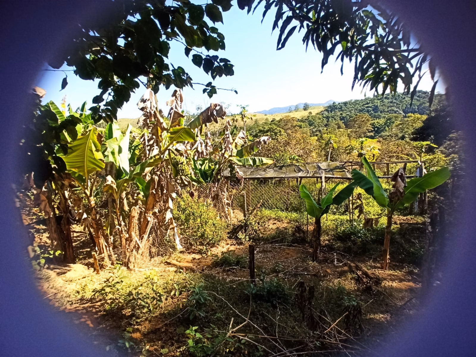 Sítio de 2 ha em Monteiro Lobato, SP