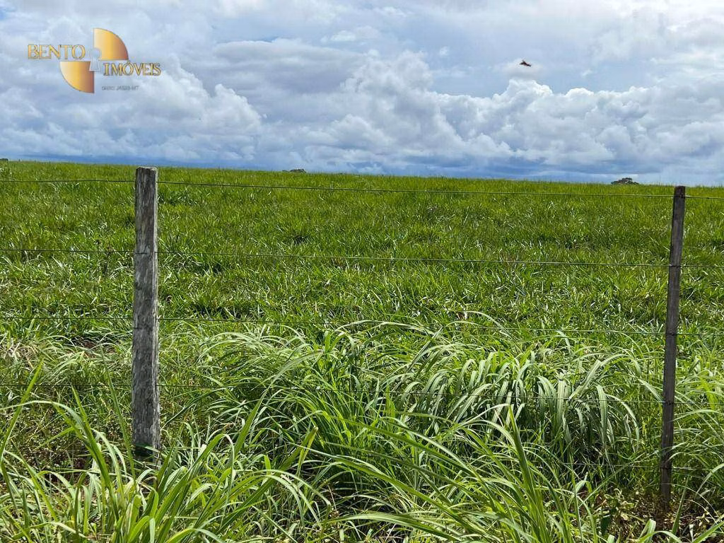 Fazenda de 4.319 ha em Chapada dos Guimarães, MT