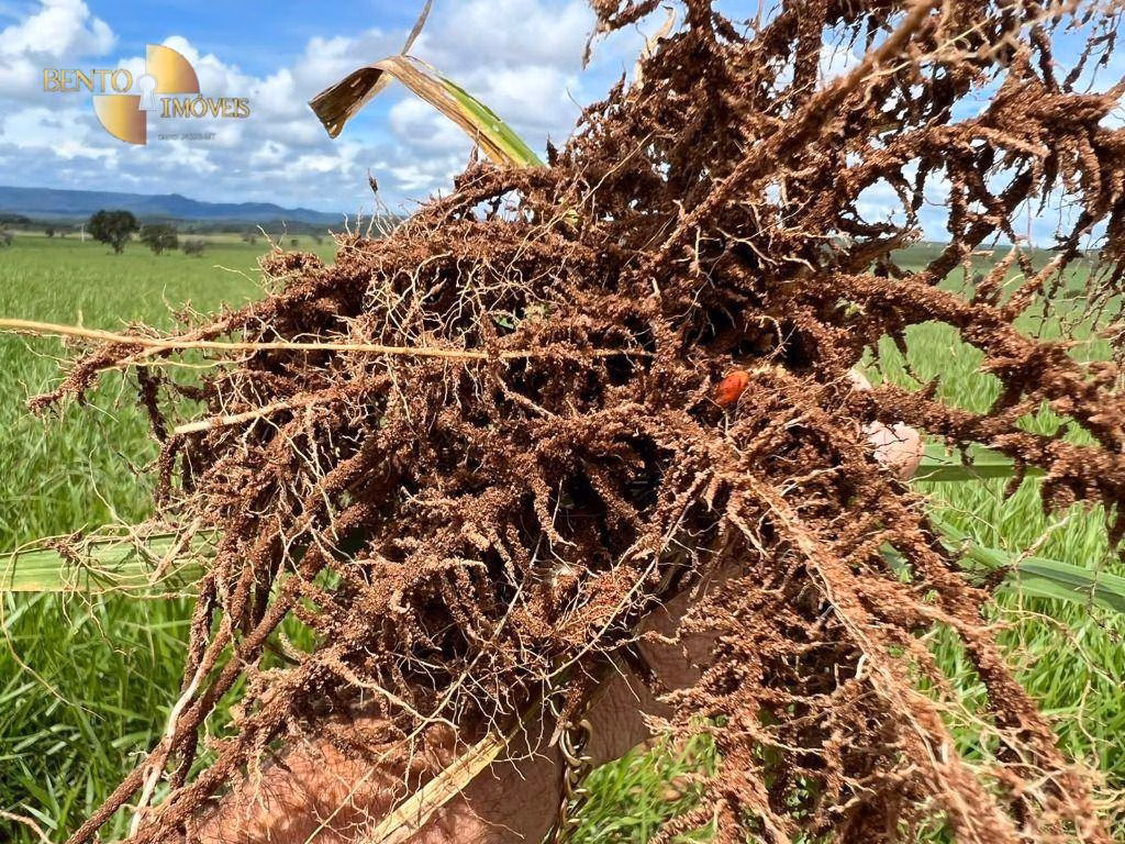 Fazenda de 4.319 ha em Chapada dos Guimarães, MT