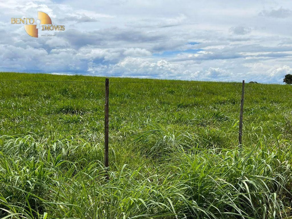 Fazenda de 4.319 ha em Chapada dos Guimarães, MT