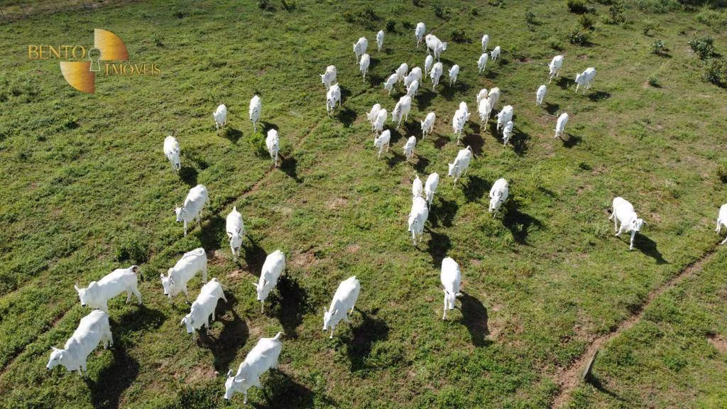 Farm of 10.672 acres in Chapada dos Guimarães, MT, Brazil