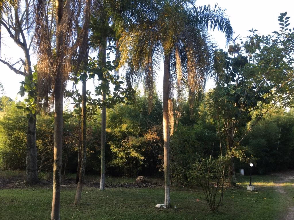 Chácara de 4 ha em Porto Feliz, SP