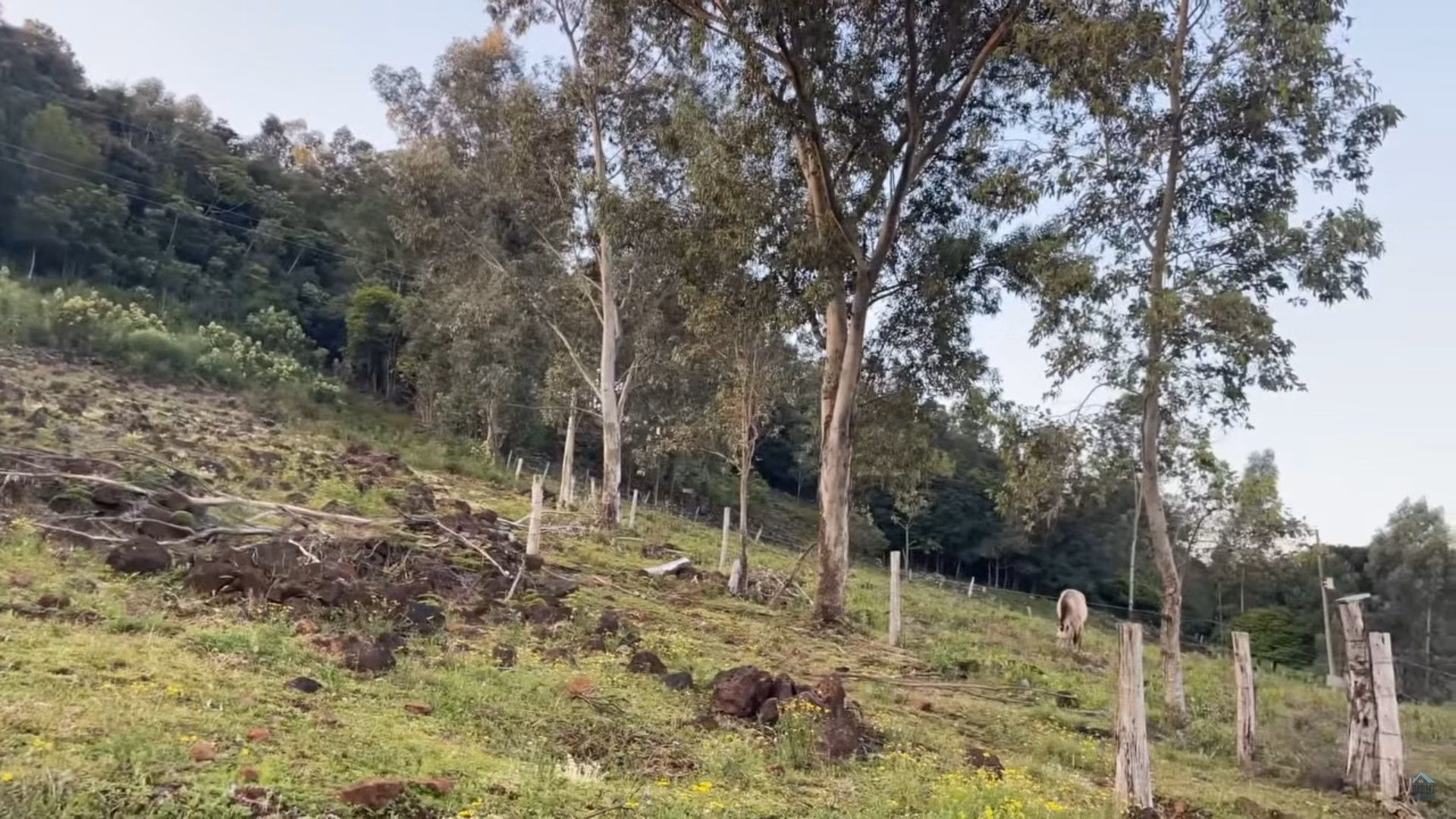 Chácara de 4 ha em Caraá, RS