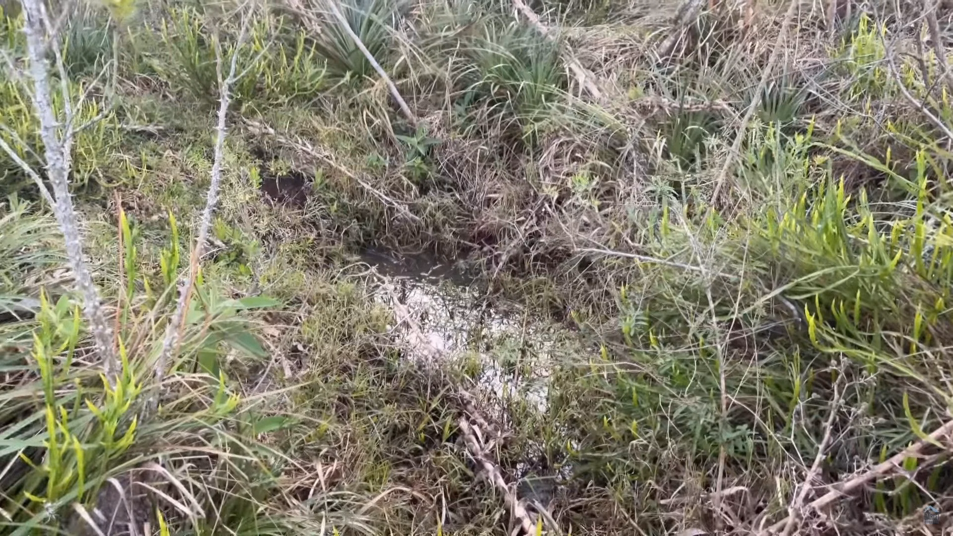 Chácara de 4 ha em Caraá, RS