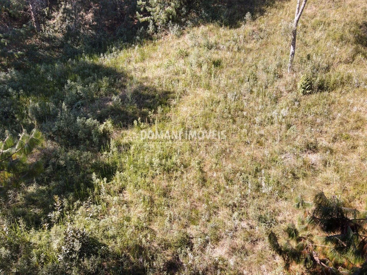 Terreno de 1.220 m² em Campos do Jordão, SP