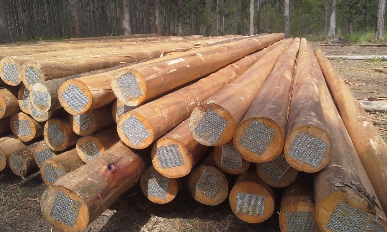 Farm of 1.680 acres in Lambari, MG, Brazil