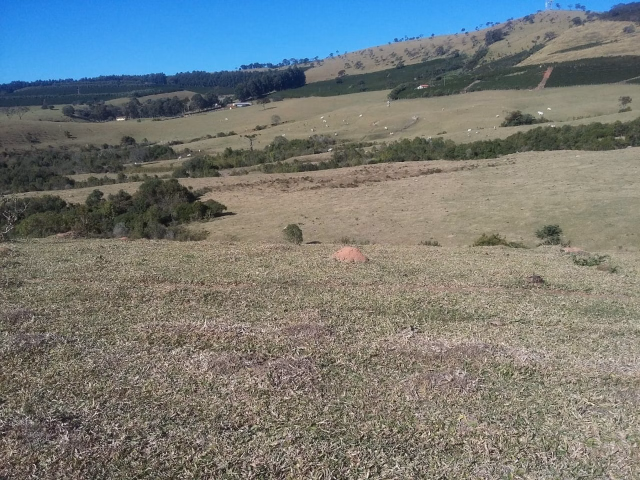 Fazenda de 680 ha em Lambari, MG