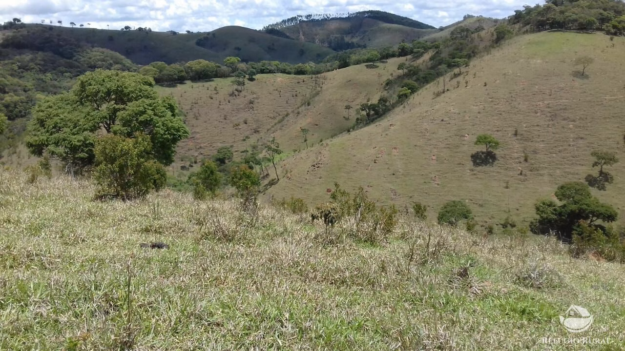 Small farm of 225 acres in Silveiras, SP, Brazil