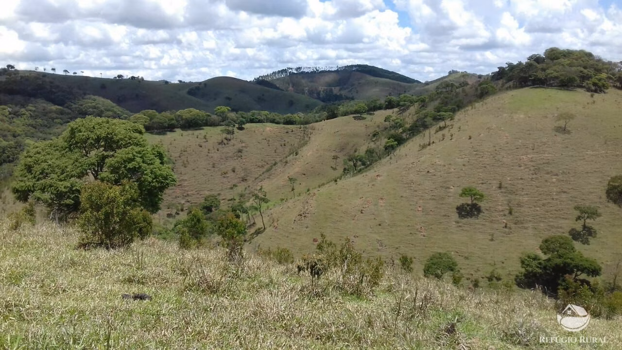 Sítio de 91 ha em Silveiras, SP