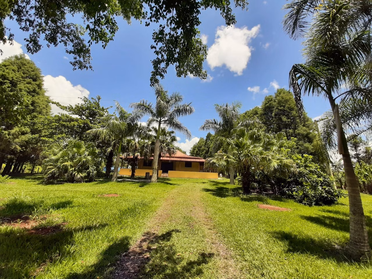 Small farm of 39 acres in Quadra, SP, Brazil
