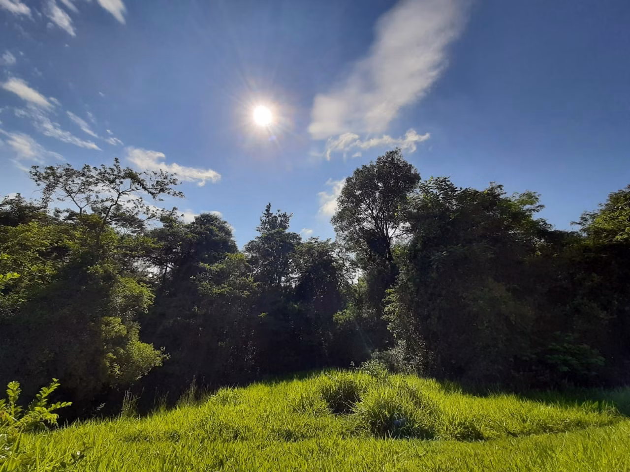 Small farm of 39 acres in Quadra, SP, Brazil