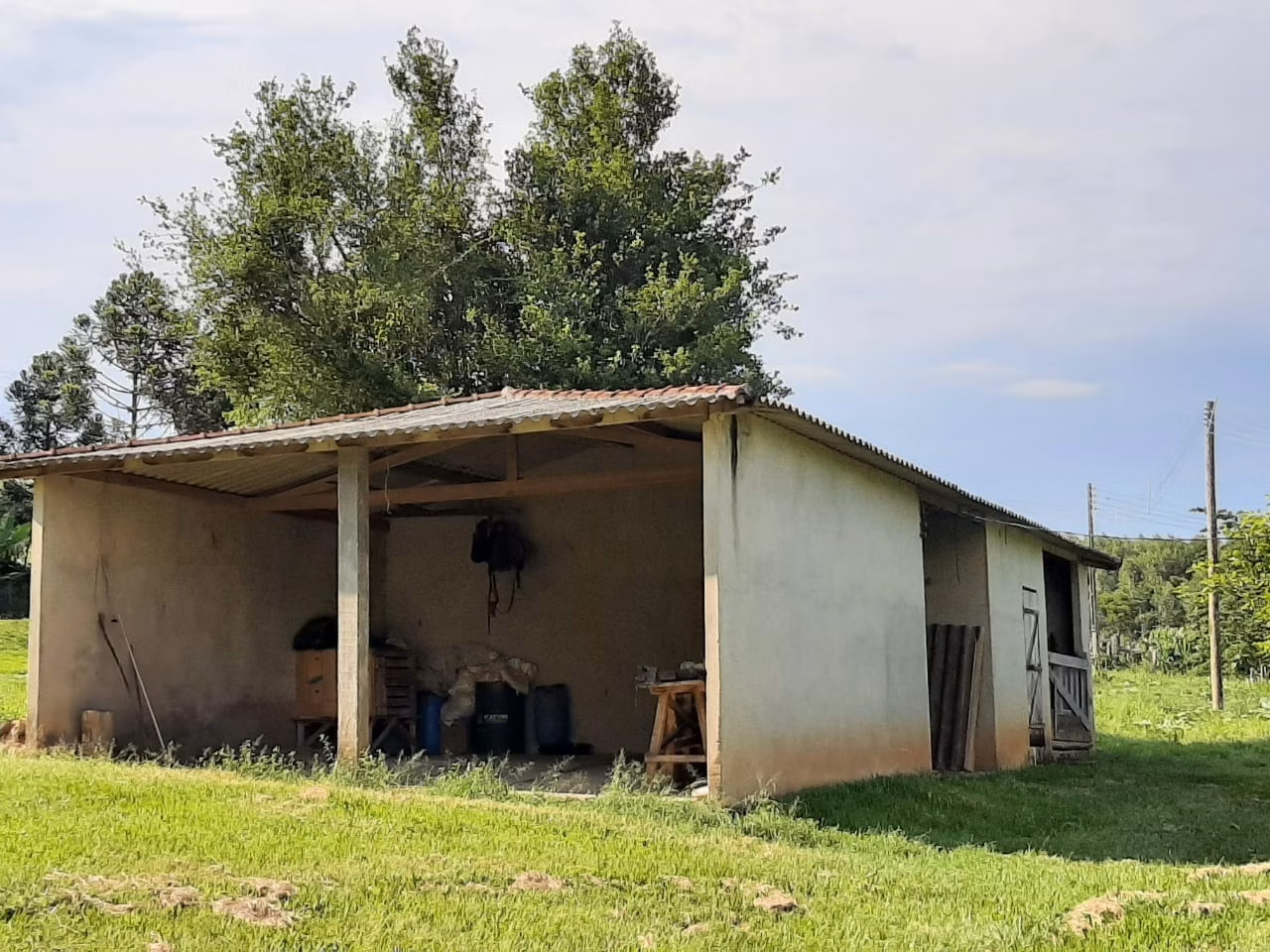 Small farm of 39 acres in Quadra, SP, Brazil