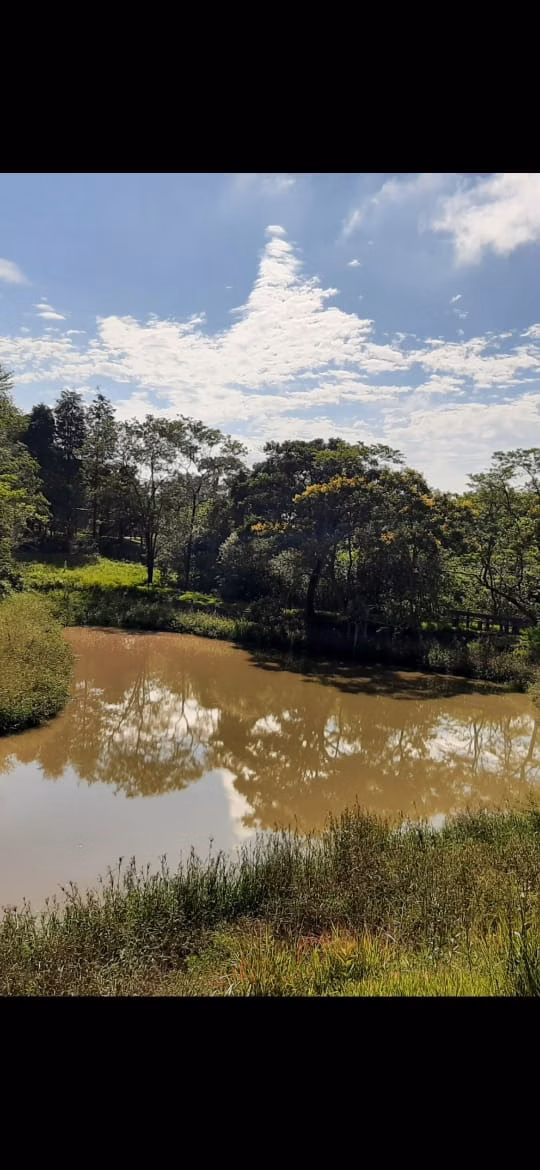 Small farm of 39 acres in Quadra, SP, Brazil
