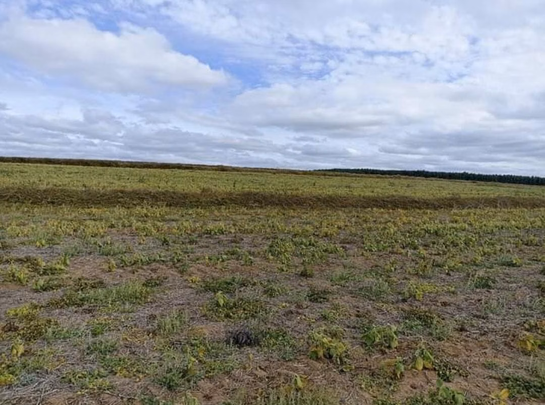 Small farm of 221 acres in Itapetininga, SP, Brazil
