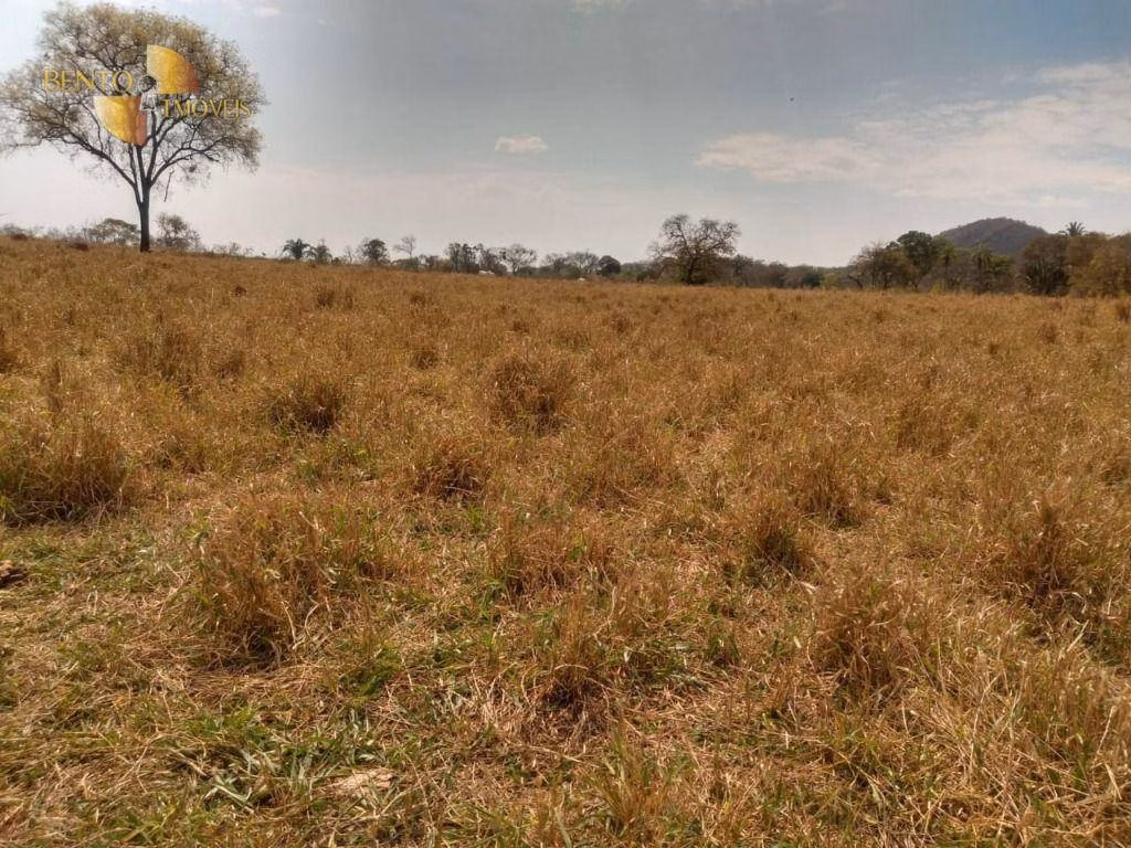 Fazenda de 630 ha em Itiquira, MT