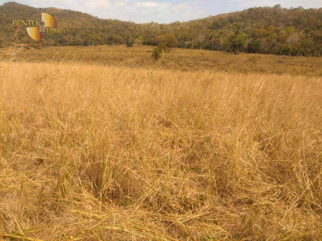 Fazenda de 630 ha em Itiquira, MT