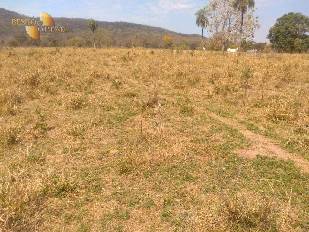 Fazenda de 630 ha em Itiquira, MT