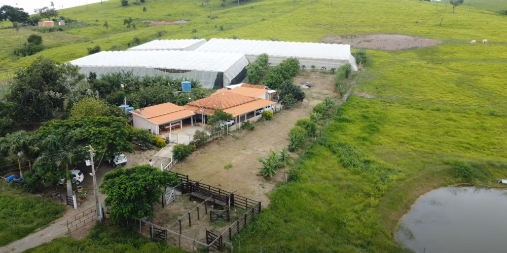 Country home of 12 acres in Ribeirão Claro, PR, Brazil
