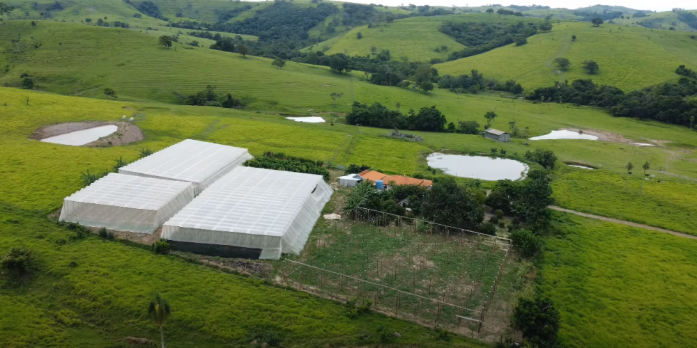 Country home of 12 acres in Ribeirão Claro, PR, Brazil
