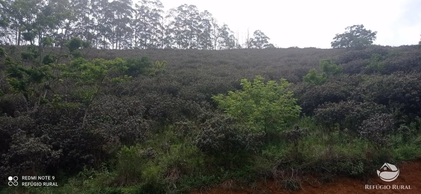 Sítio de 24 ha em São José dos Campos, SP