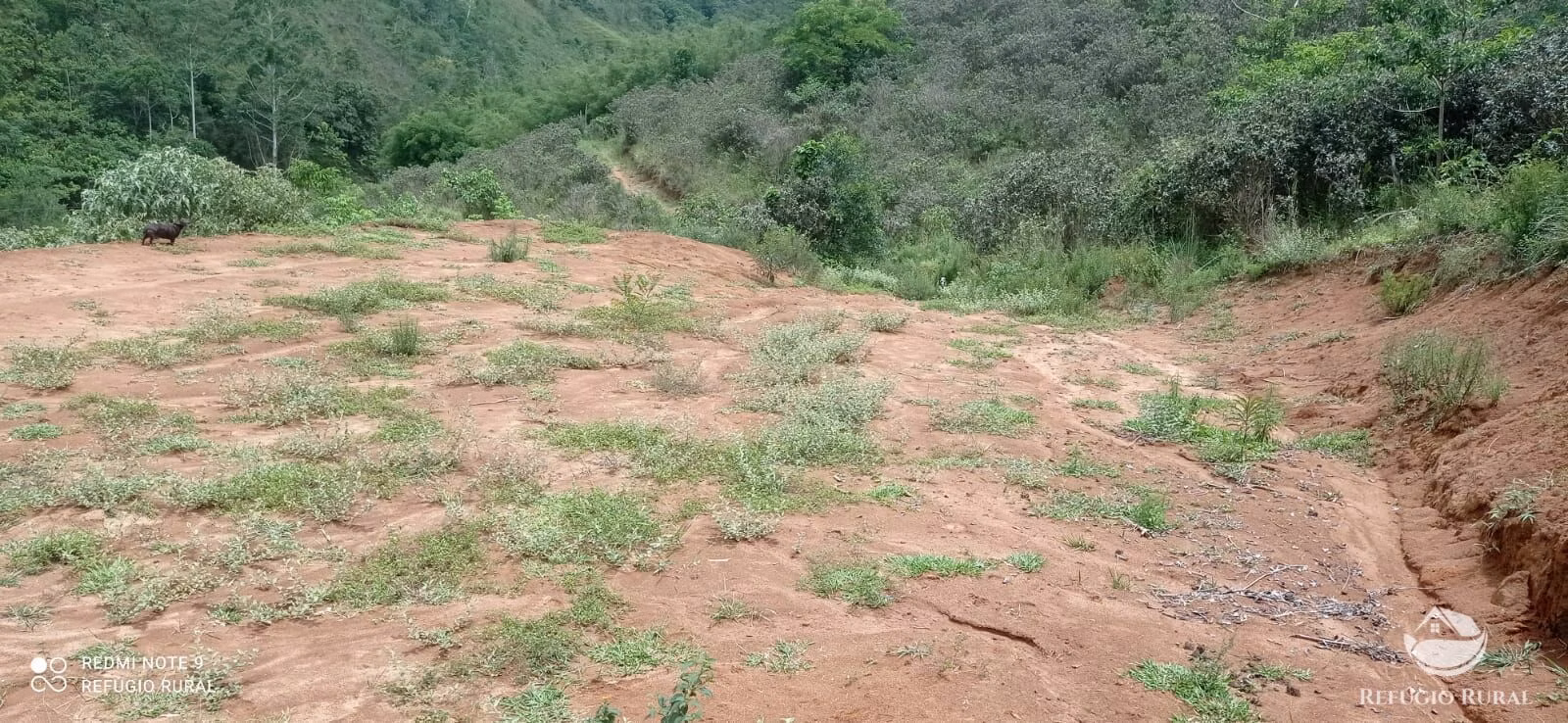 Sítio de 24 ha em São José dos Campos, SP