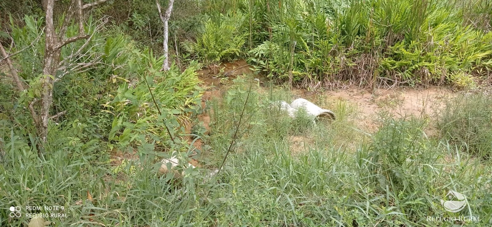 Sítio de 24 ha em São José dos Campos, SP