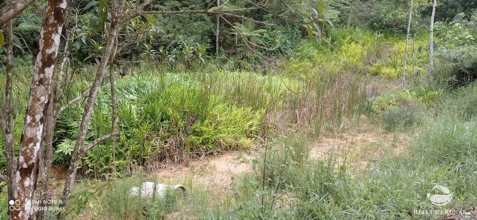 Sítio de 24 ha em São José dos Campos, SP