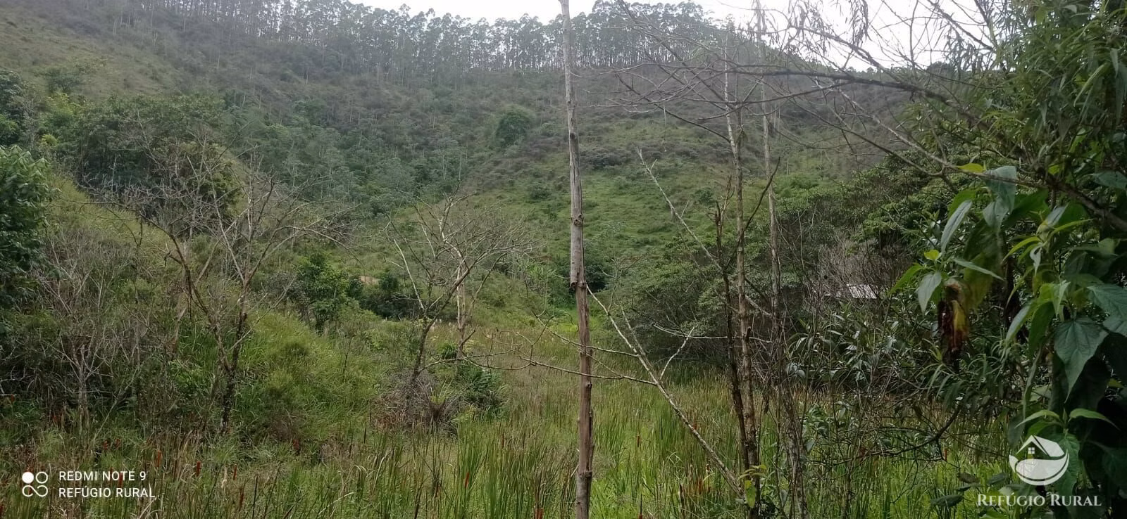Sítio de 24 ha em São José dos Campos, SP