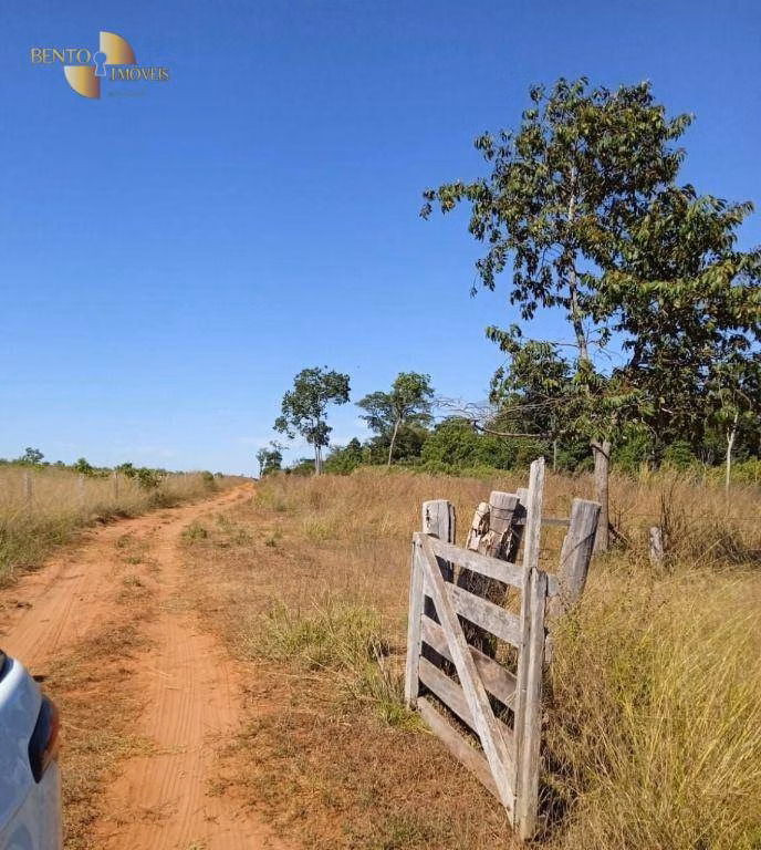 Fazenda de 878 ha em Primavera do Leste, MT