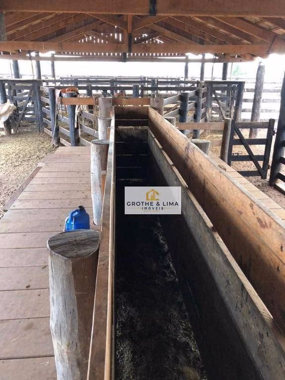Fazenda de 2.628 ha em Wanderlândia, TO
