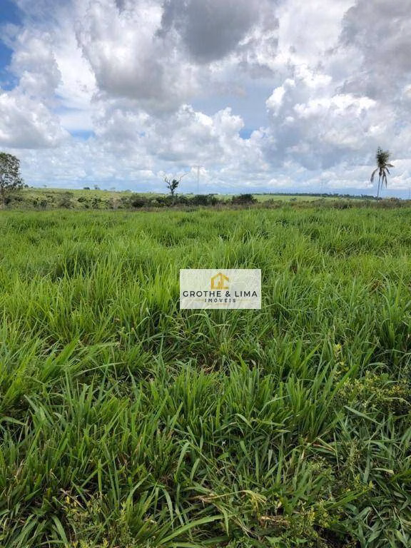 Fazenda de 2.628 ha em Wanderlândia, TO