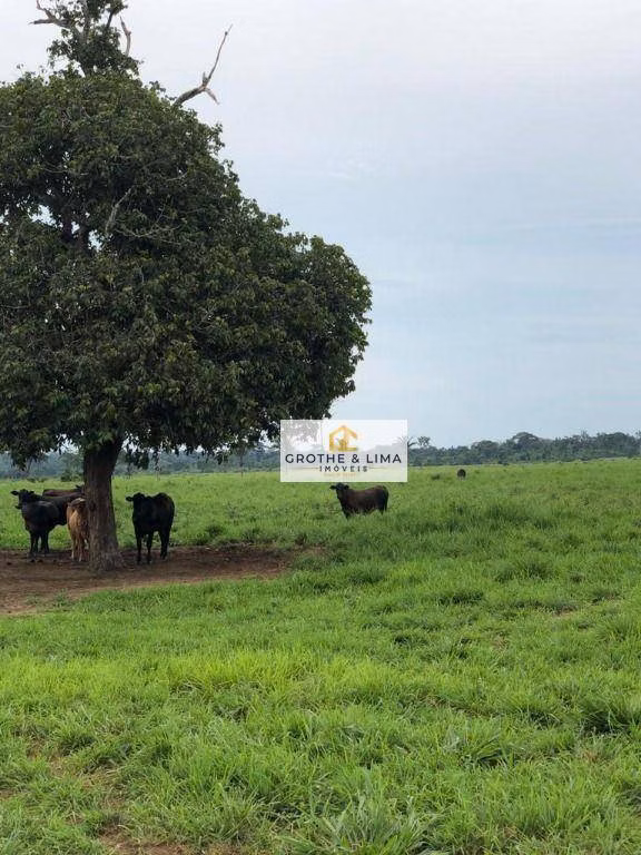 Fazenda de 2.628 ha em Wanderlândia, TO