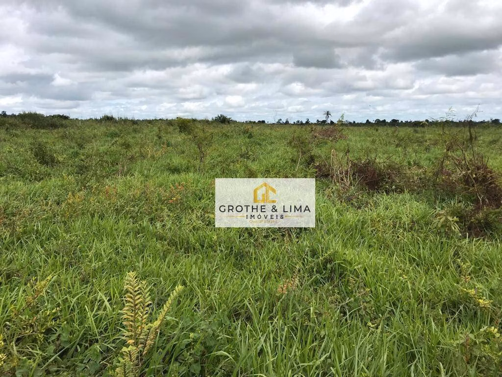 Fazenda de 2.628 ha em Wanderlândia, TO