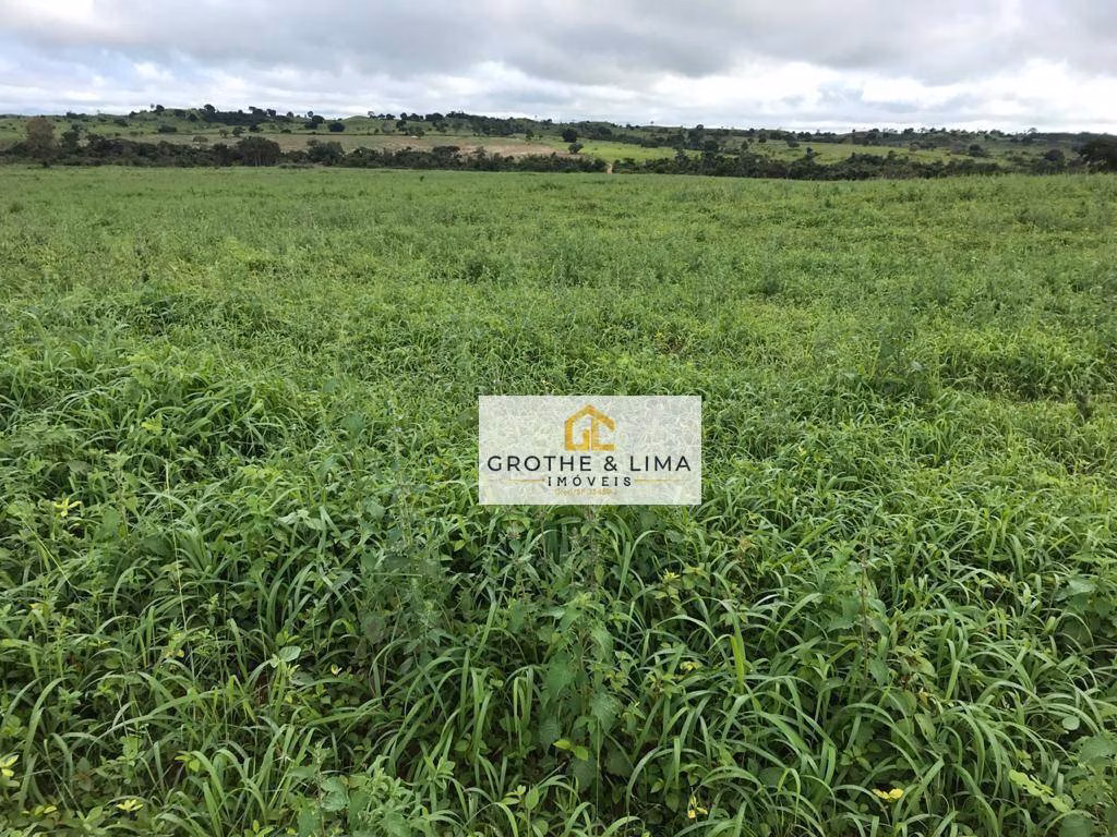 Fazenda de 2.628 ha em Wanderlândia, TO
