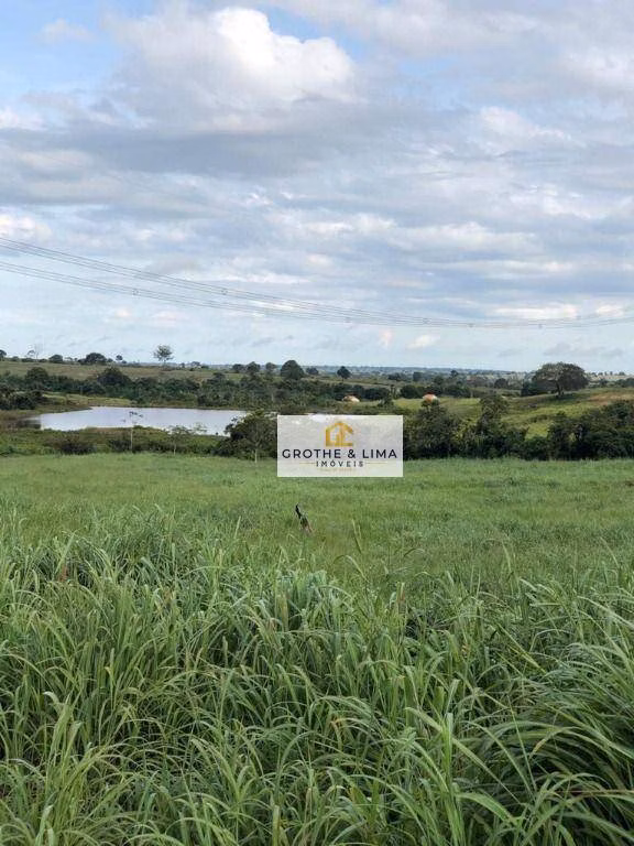 Fazenda de 2.628 ha em Wanderlândia, TO