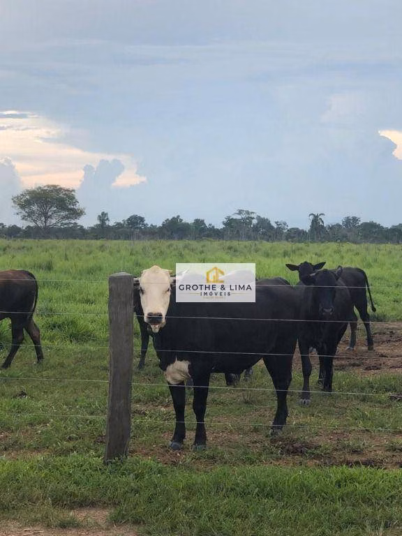 Fazenda de 2.628 ha em Wanderlândia, TO